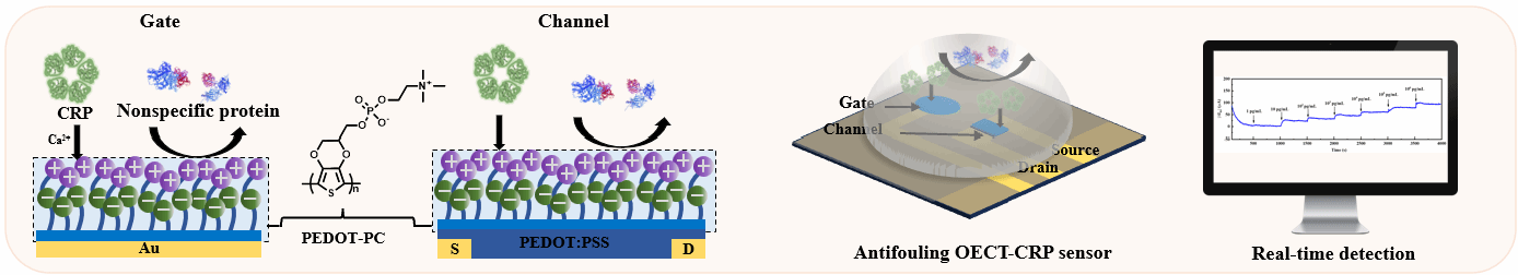 九游·会(J9.com)集团官网 - 真人游戏第一品牌[首页]