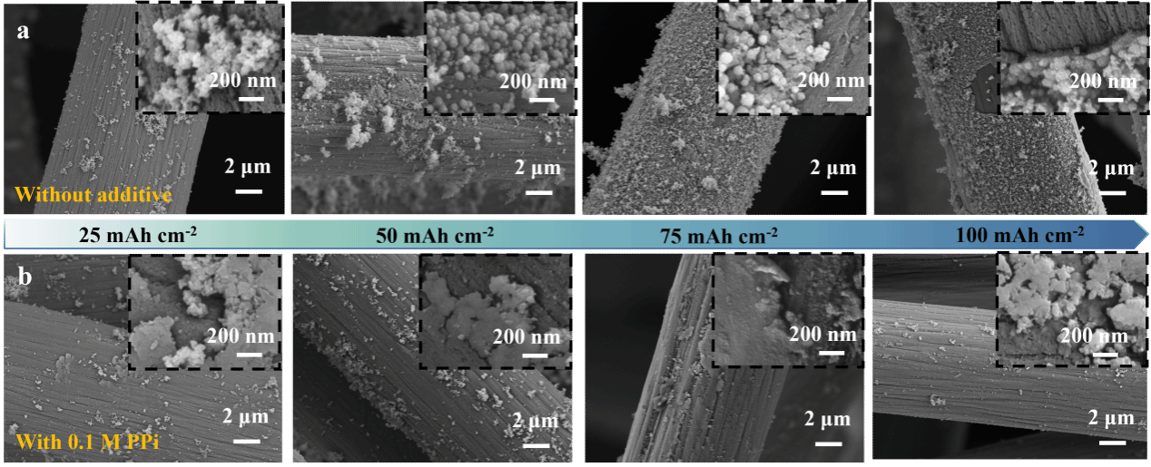 九游·会(J9.com)集团官网 - 真人游戏第一品牌[首页]