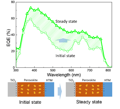 九游·会(J9.com)集团官网 - 真人游戏第一品牌[首页]