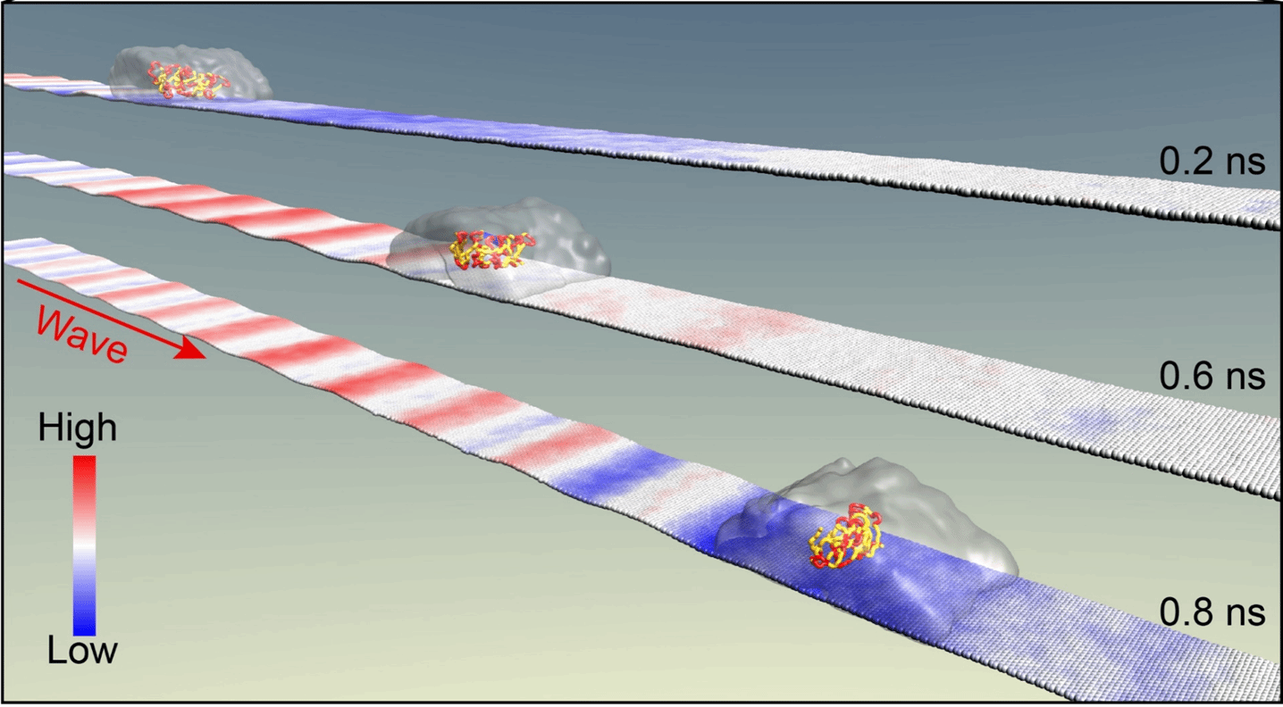 九游·会(J9.com)集团官网 - 真人游戏第一品牌[首页]