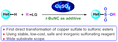 九游·会(J9.com)集团官网 - 真人游戏第一品牌[首页]