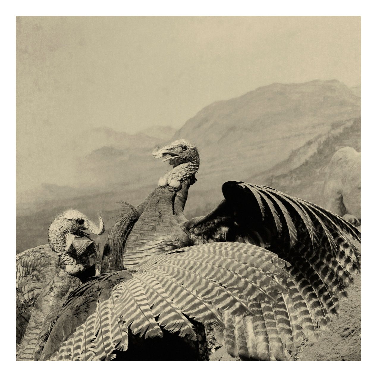 6704060345A8AA337DA45A16CF5_F0878592_3C031