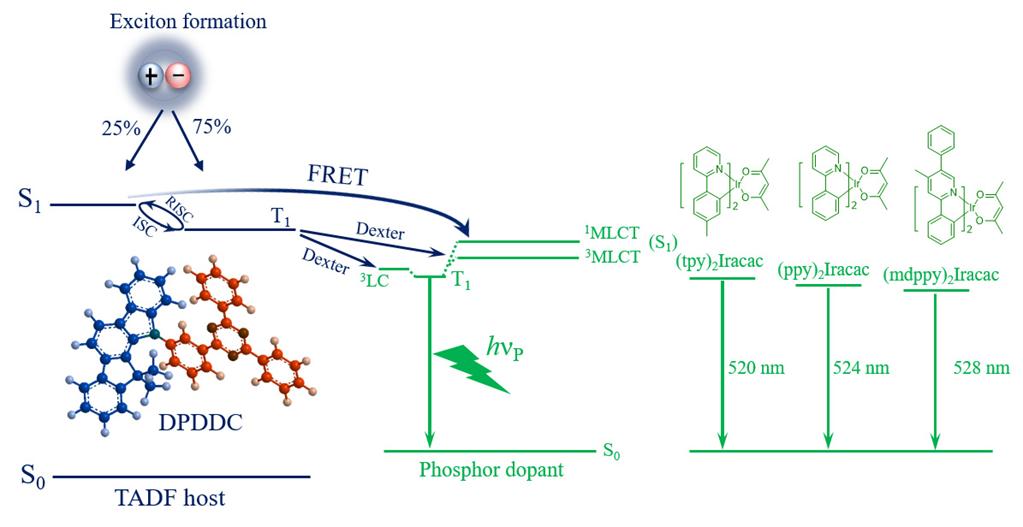 九游·会(J9.com)集团官网 - 真人游戏第一品牌[首页]