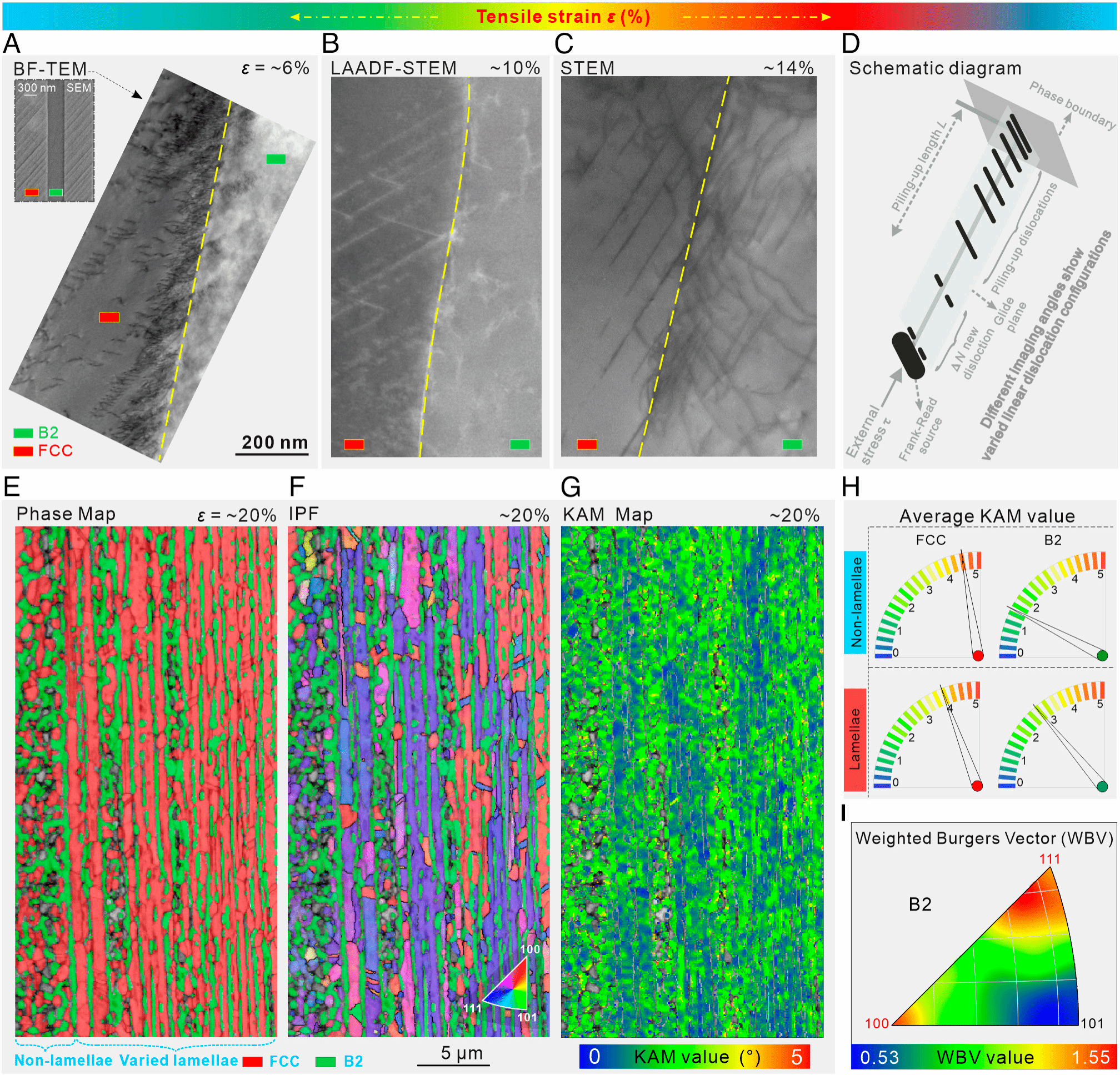九游·会(J9.com)集团官网 - 真人游戏第一品牌[首页]
