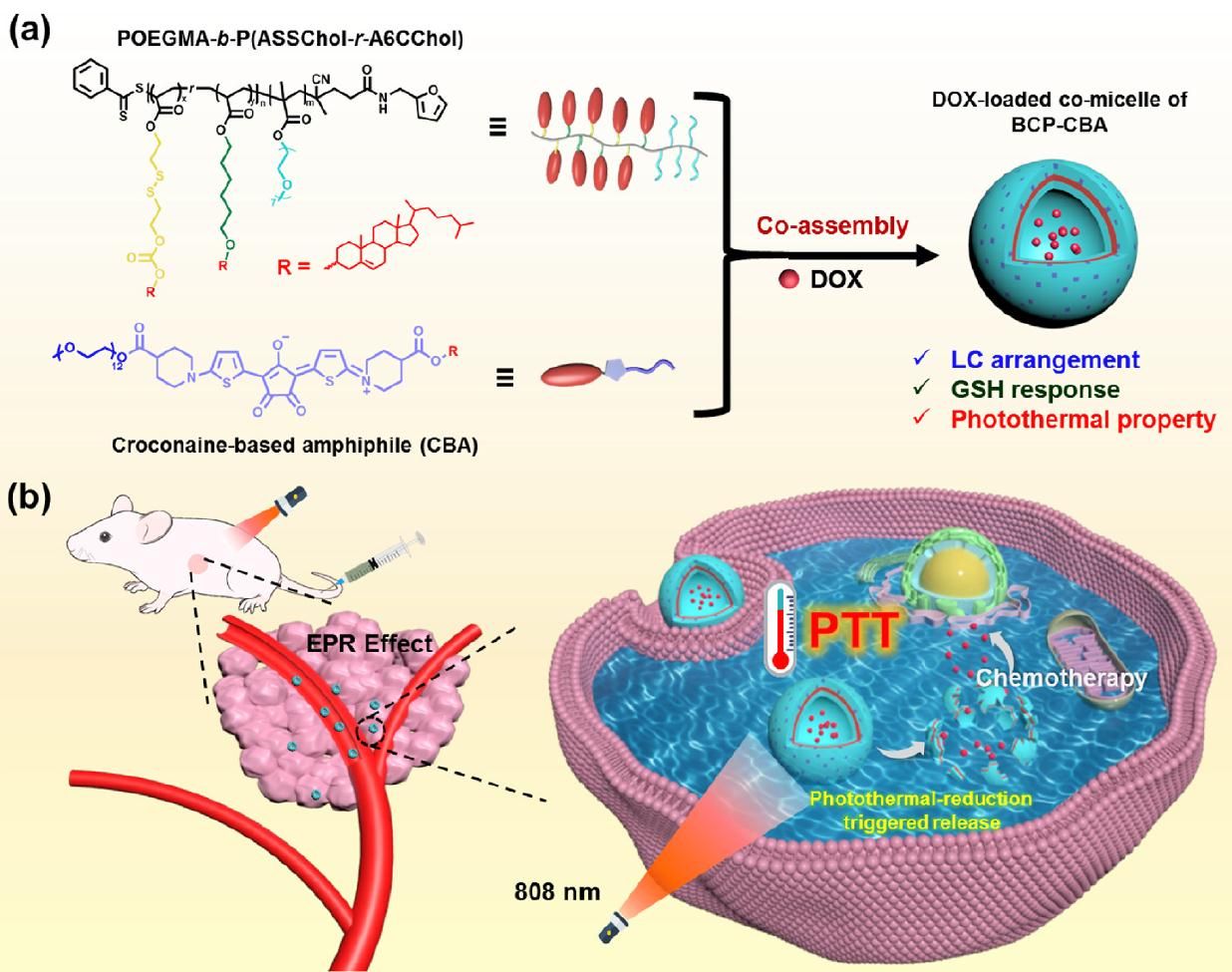 6B6B68C3F255E33209264501332_27B3640E_256C0