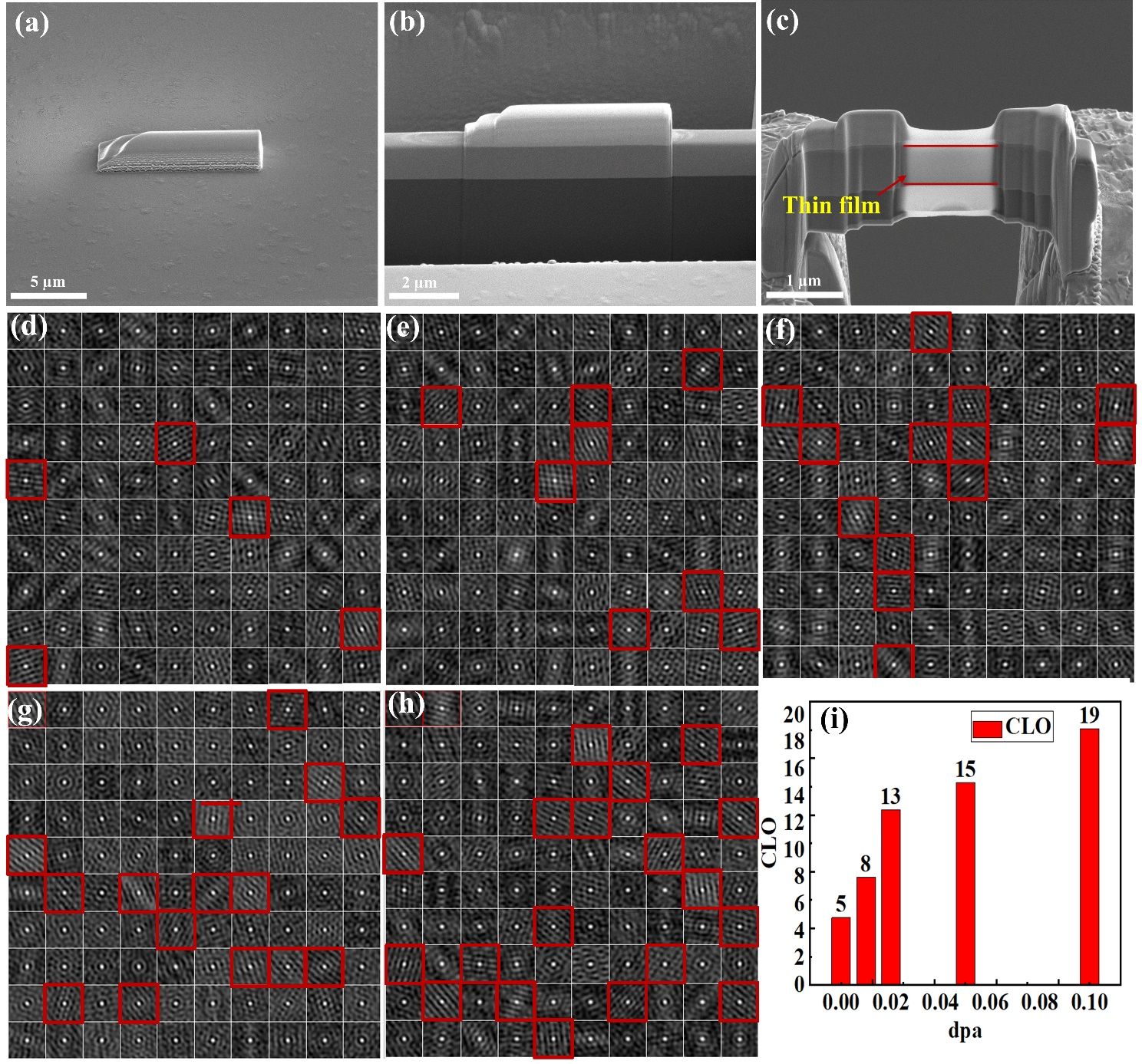 81F947B6FD2B578443D82ED25E6_803F446C_6147A