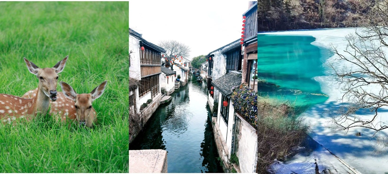 图片1.jpg 图片1.jpg